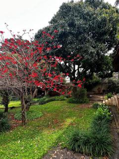Hospedaria do Guata - 8