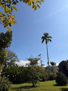 Beautiful house in the coffee region - 8