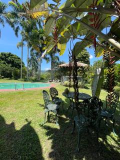 Beautiful house in the coffee region - 7