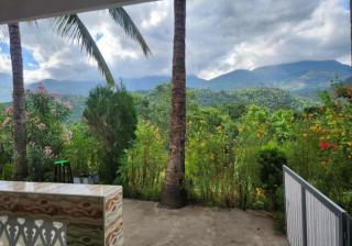 Paradise homestay - 1