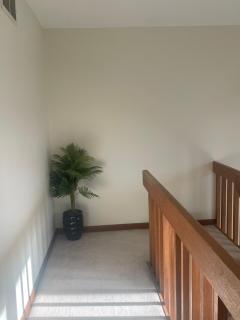 Modern Stays - 5