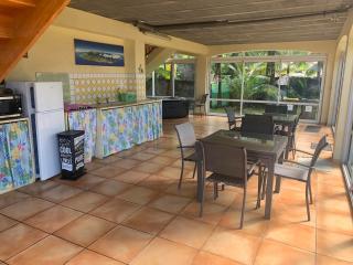 Les Hibiscus - 2