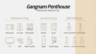 Gangnam Penthouse - 2
