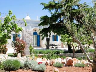 Villa in Itria Valley with Infinity Pool - 0