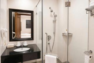 Apollo Airport Hotel - 2