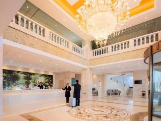 Vienna Hotel Tibet Lazi Mount Everest - 8