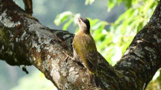 Organic Famers Dormitory by ECO Escape Hospitality - 4