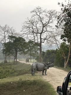 Triptire Resort Kaziranga - 1