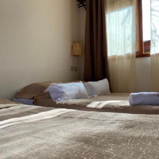 Ankavia Lodge - 6