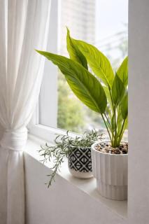 Charming Cosy Apartment in the Heart of Fitzroy - Melbourne - 5