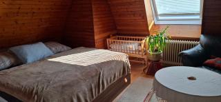 Quiet attic Apartment with large Garden near Vienna - 7