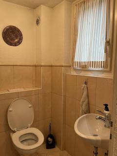 Luxury Home 15 Min to Zurich City and Airport - 5