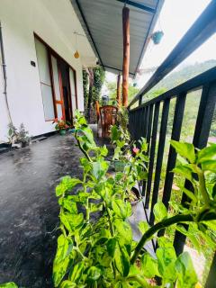Ella Hermitage View - 0