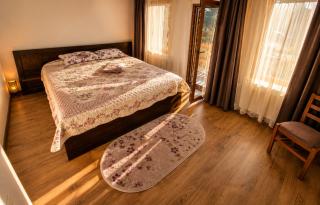 Casa Dragomir - 1