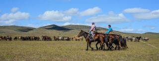Steppe Horse Camp - 8
