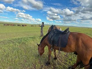 Steppe Horse Camp - 5