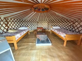Steppe Horse Camp - 2