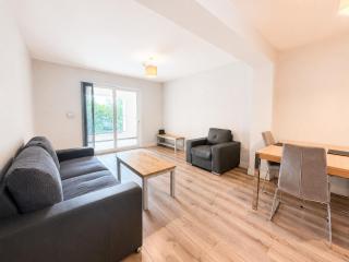 Leixlip Flat Close to Shops and Transport - 8