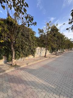 White House - Private Villa Garden - 1