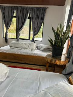 Munal Homestay - 2