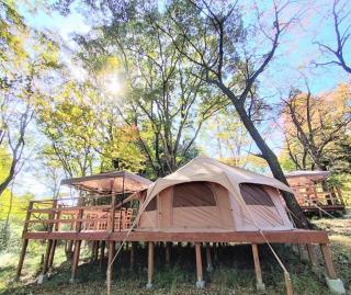 Lantern Garden Nasu Highlands Glamping Site - Camp - Vacation STAY 42056v - 1