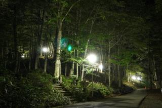 Hatto Furusato no Mori - Vacation STAY 21068v - 3