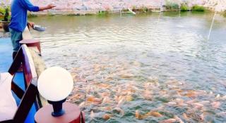 42 Somwang Resort -  - 7