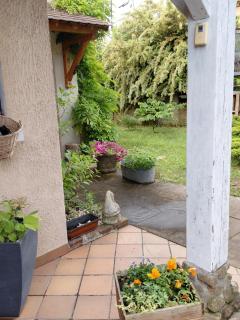 les oliviers - 2