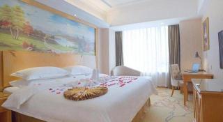 Vienna Hotel Chengdu Shuangliu Airport Cuqiao Metro Station - 4