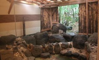Shinfuji Auto Campsite - Vacation STAY 53263v - 5