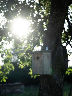 La Suite au Bois d'Ohey - 9