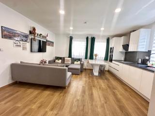 Cozy Apartment and Cozy studio Room - Praga - 2