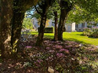 Chateau de Salorges - Farmgite - 6