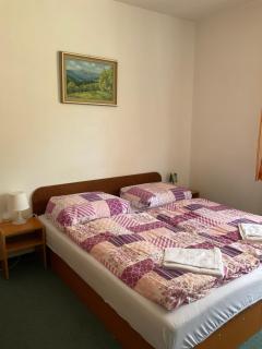 Pension Holiday - Vrchlabí - 3