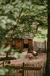 Cozy cottages by Bed en Boshuisjes - 6