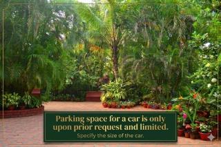 Palm Grove Cottages - Leisure Resort - 6