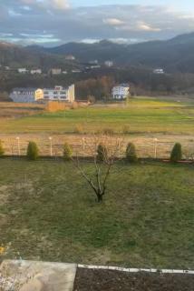 Altin Preci - 2