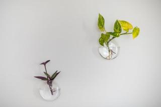 zen-amazing, exarchia - 5
