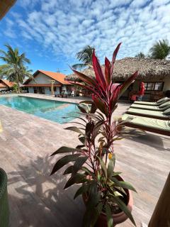 Paraiso da Barra - 5
