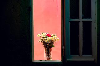 Casa Puka - 7
