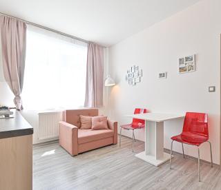 Apartmán na výsluní - 7