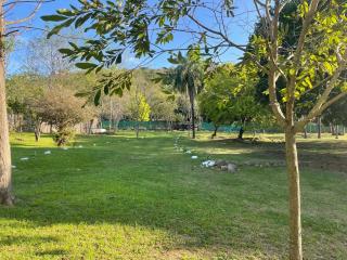 Private Dome Relax in Nature - 4