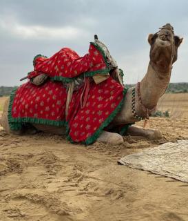 Suraksha Desert Camp - 8
