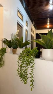 Naeera Inn Wonosobo - 8