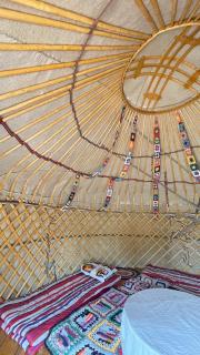 Authentic Kazakh YURT in a Farm Stay - 7
