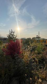 Authentic Kazakh YURT in a Farm Stay - 5
