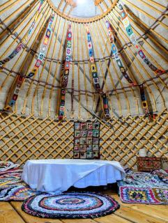 Authentic Kazakh YURT in a Farm Stay - 3