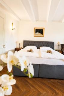Le Jardin d'Aventicum - Elegant Old Town Apartment - 4
