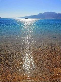 Sunny Dahab - 6