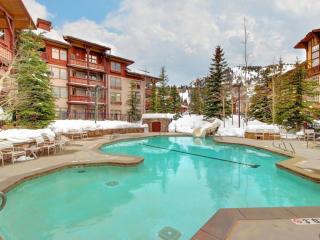 Powderhorn Lodge 209 - Solitude - 5
